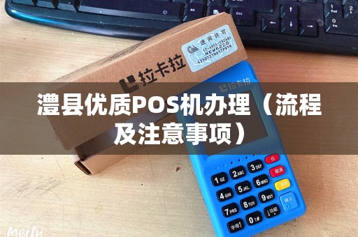 澧县优质POS机办理（流程及注意事项）