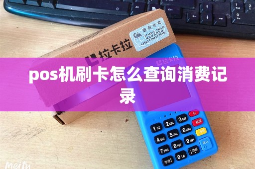 pos机刷卡怎么查询消费记录