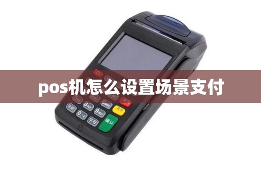 pos机怎么设置场景支付