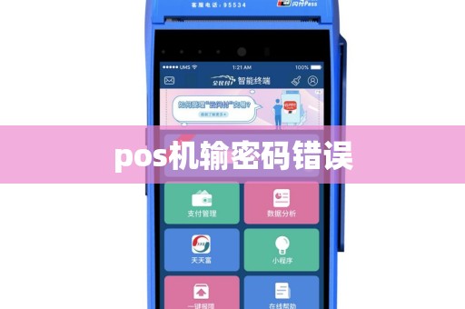 pos机输密码错误