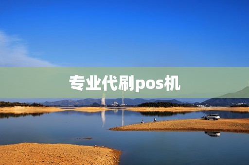 专业代刷pos机