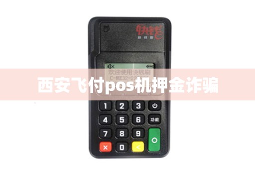 西安飞付pos机押金诈骗