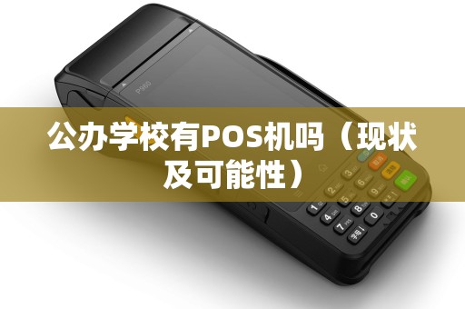 公办学校有POS机吗（现状及可能性）