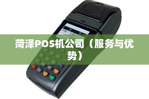 菏泽POS机公司（服务与优势）