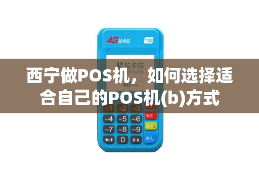西宁做POS机，如何选择适合自己的POS机(b)方式