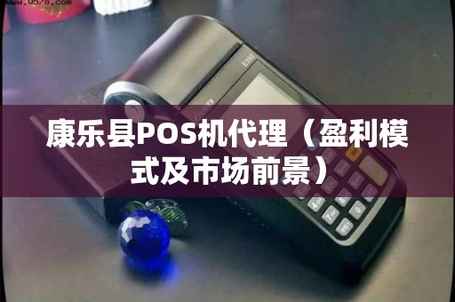 康乐县POS机代理（盈利模式及市场前景）