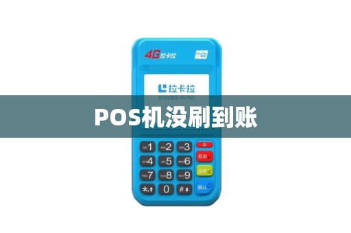 POS机没刷到账