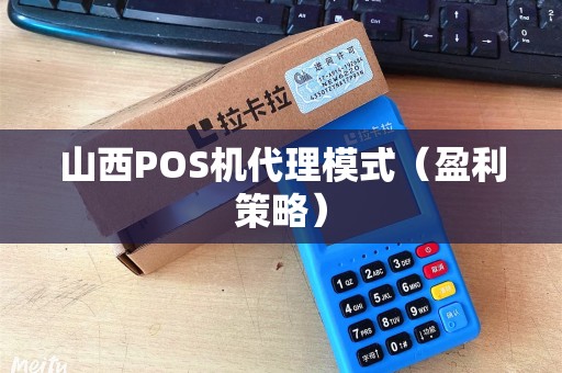 山西POS机代理模式（盈利策略）