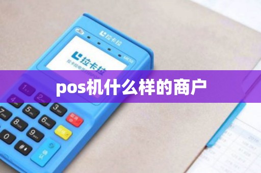 pos机什么样的商户