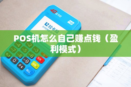 POS机怎么自己赚点钱（盈利模式）
