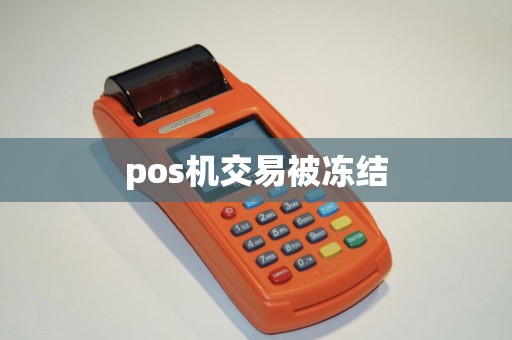 pos机交易被冻结