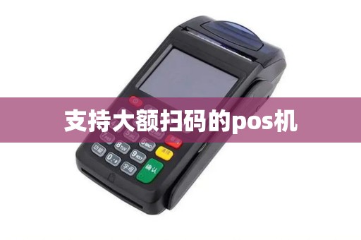 支持大额扫码的pos机