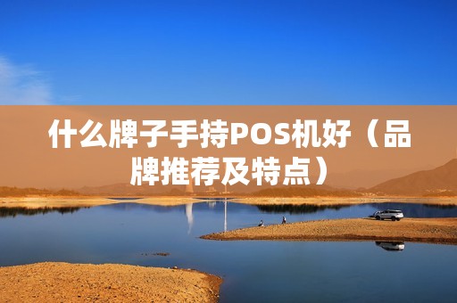 什么牌子手持POS机好（品牌推荐及特点）
