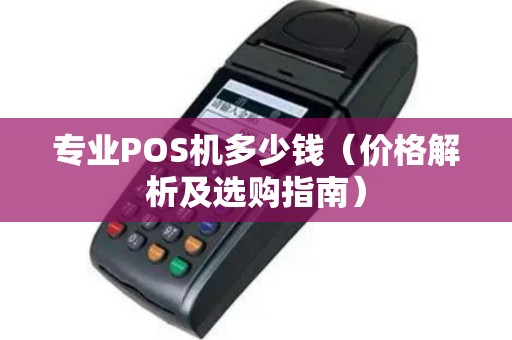 专业POS机多少钱（价格解析及选购指南）
