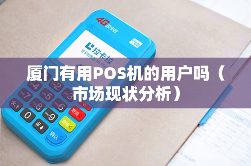厦门有用POS机的用户吗（市场现状分析）