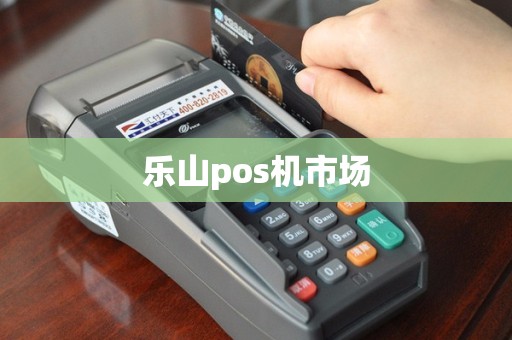 乐山pos机市场