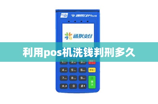 利用pos机洗钱判刑多久
