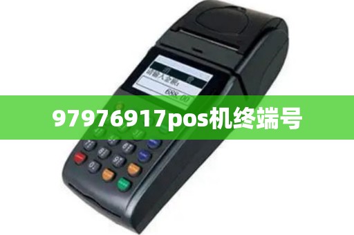 97976917pos机终端号