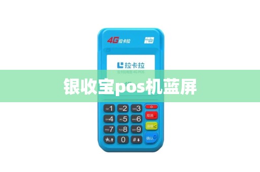 银收宝pos机蓝屏
