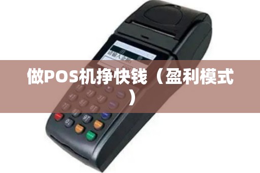 做POS机挣快钱（盈利模式）