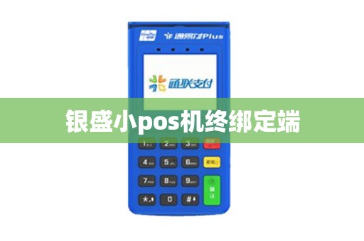 银盛小pos机终绑定端