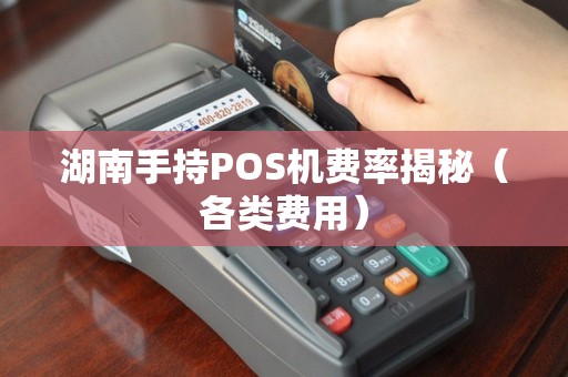 湖南手持POS机费率揭秘（各类费用）