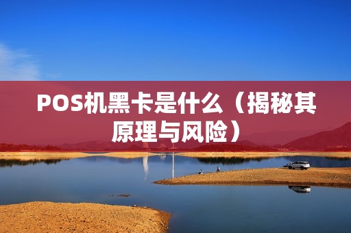 POS机黑卡是什么（揭秘其原理与风险）