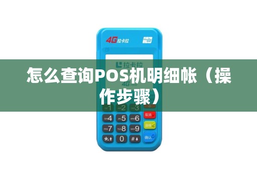 怎么查询POS机明细帐（操作步骤）