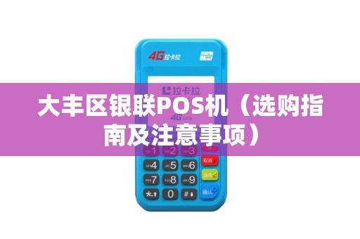 大丰区银联POS机（选购指南及注意事项）