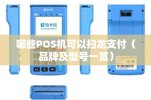 哪些POS机可以扫龙支付（品牌及型号一览）