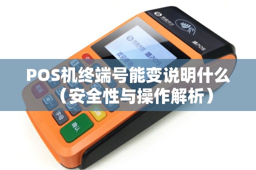 POS机终端号能变说明什么（安全性与操作解析）