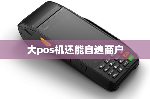 大pos机还能自选商户