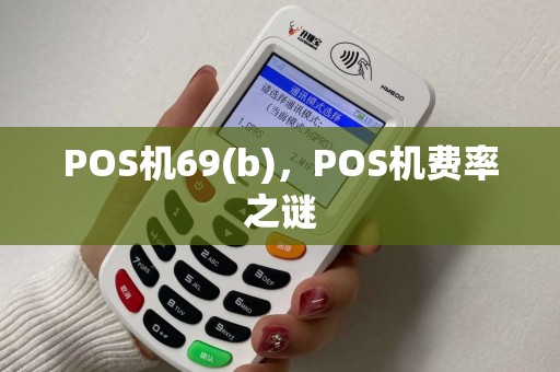 POS机69(b)，POS机费率之谜