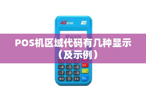 POS机区域代码有几种显示（及示例）