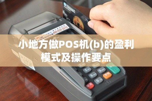 小地方做POS机(b)的盈利模式及操作要点