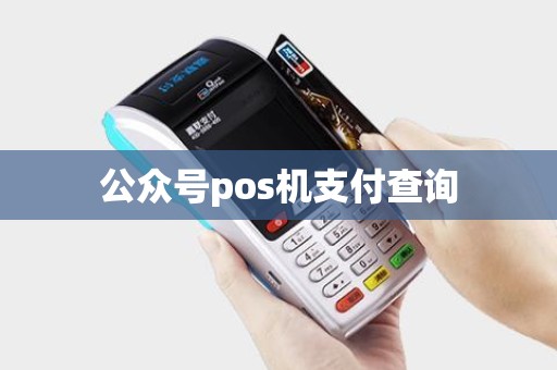 公众号pos机支付查询