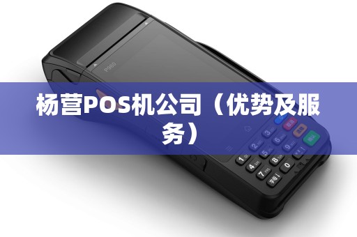 杨营POS机公司（优势及服务）