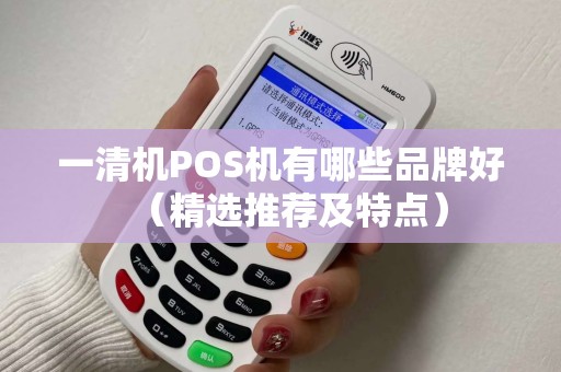 一清机POS机有哪些品牌好（精选推荐及特点）