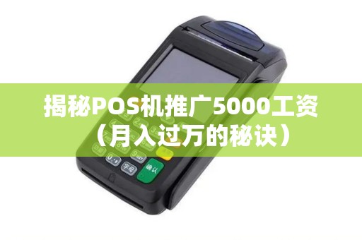 揭秘POS机推广5000工资（月入过万的秘诀）