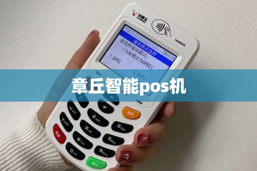 章丘智能pos机
