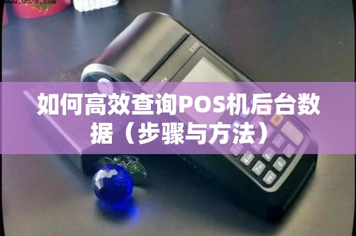 如何高效查询POS机后台数据（步骤与方法）