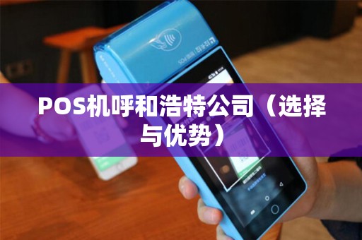 POS机呼和浩特公司（选择与优势）