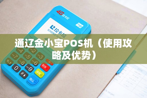通辽金小宝POS机（使用攻略及优势）