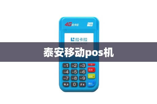 泰安移动pos机