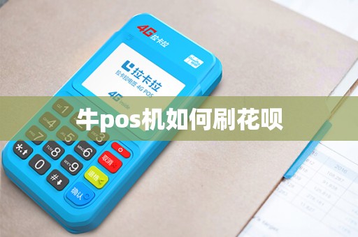 牛pos机如何刷花呗