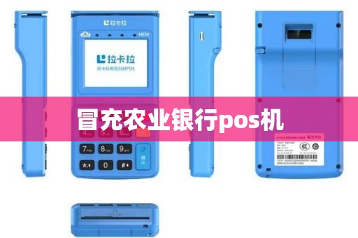 冒充农业银行pos机