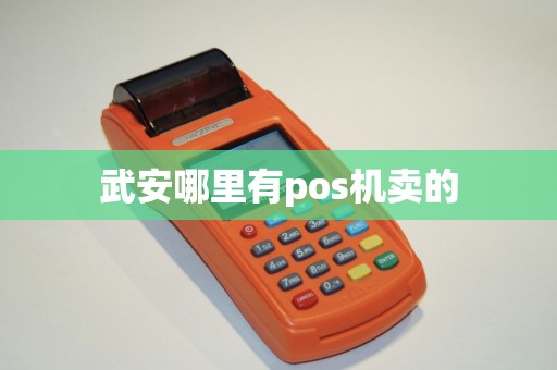 武安哪里有pos机卖的