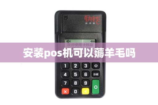 安装pos机可以薅羊毛吗