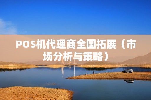 POS机代理商全国拓展（市场分析与策略）