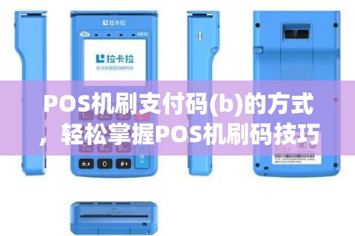 POS机刷支付码(b)的方式，轻松掌握POS机刷码技巧，安全支付更便捷